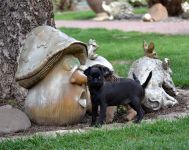 ���� 2,5 ������