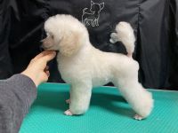 ���� 2 ������